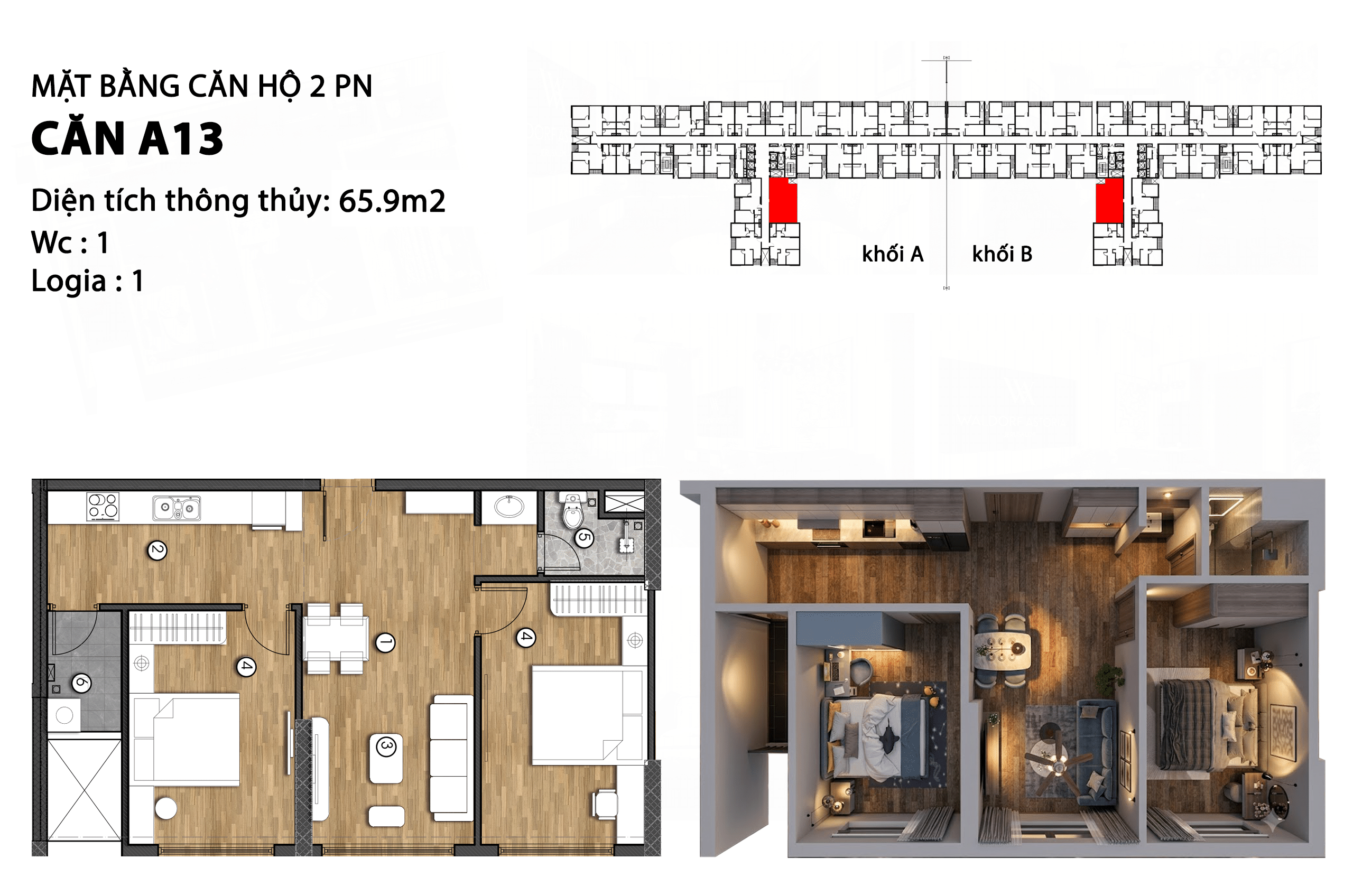 a13 (1)
